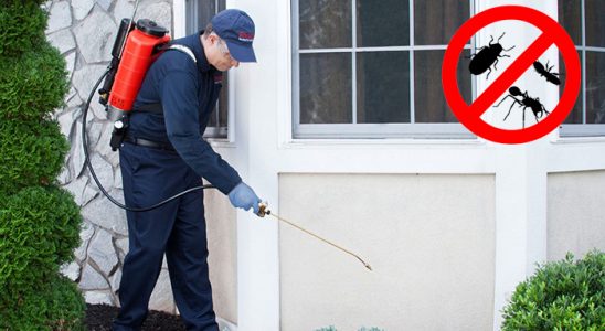 Lalapaşa Tahtakurusu İlaçlama böcek ilaçlama ve haşere kontrolü — ilaclama-tr.com